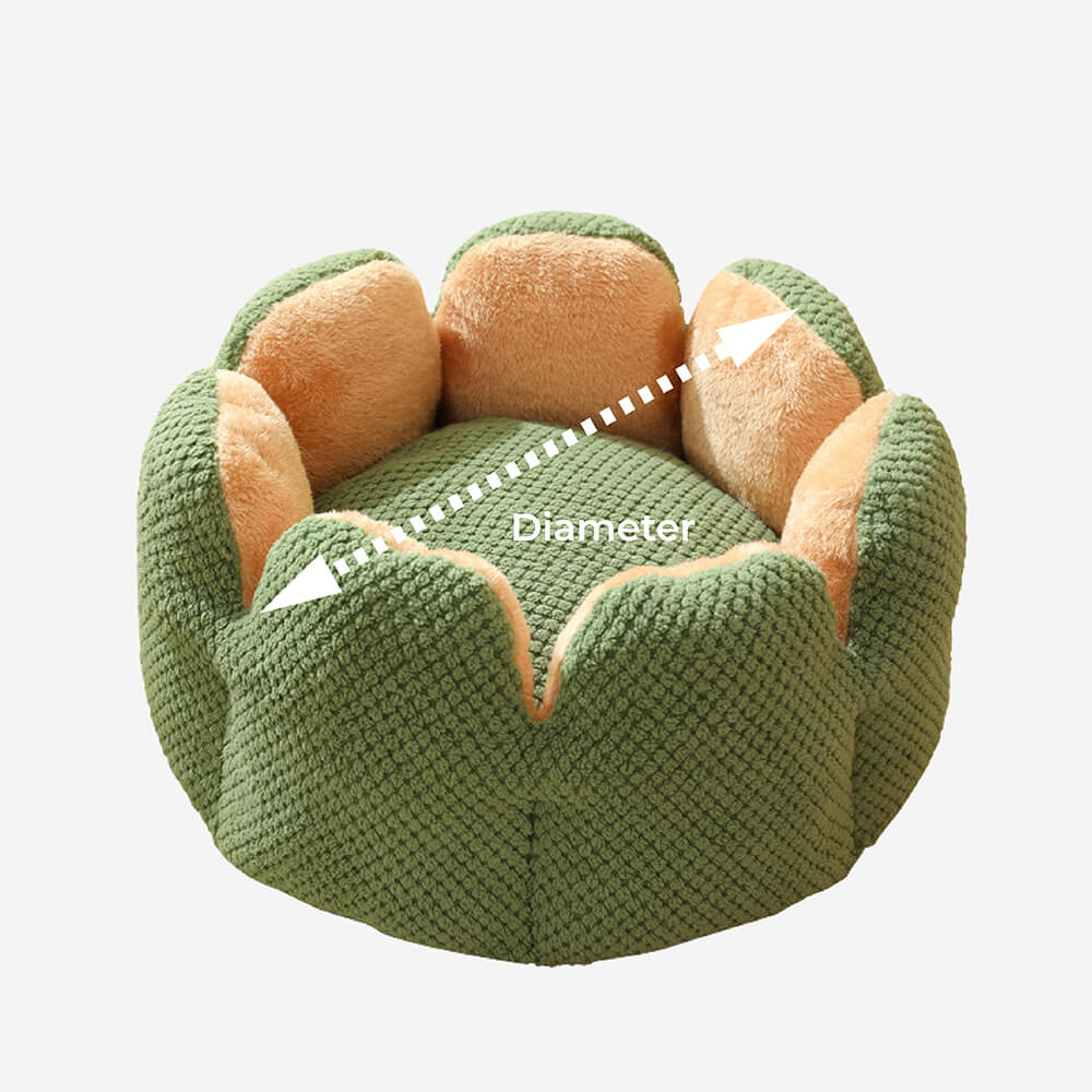 Modernes Kaktus Katzenbett Design, stylischer und bequemer Schlafplatz in Grün für Haustiere.