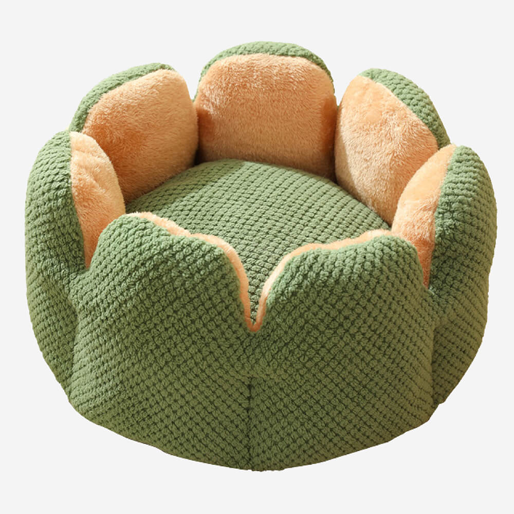 Das ideale Kaktus Katzenbett, ein bequemer, grüner und stylischer Kuschelplatz für jede Katze.