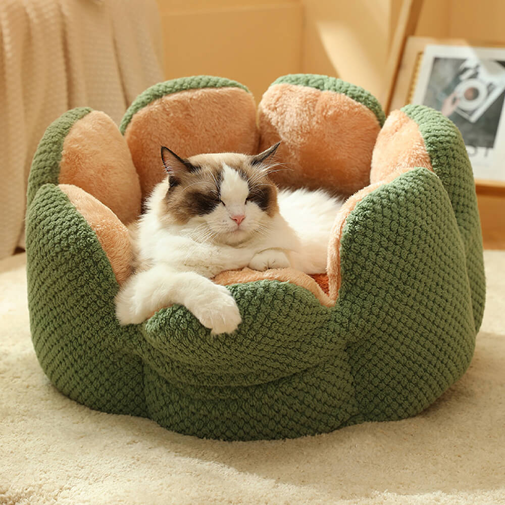 Einzigartiges Kaktus Design Katzenbett, ein gemütlicher und dekorativer Schlafplatz für Katzen.