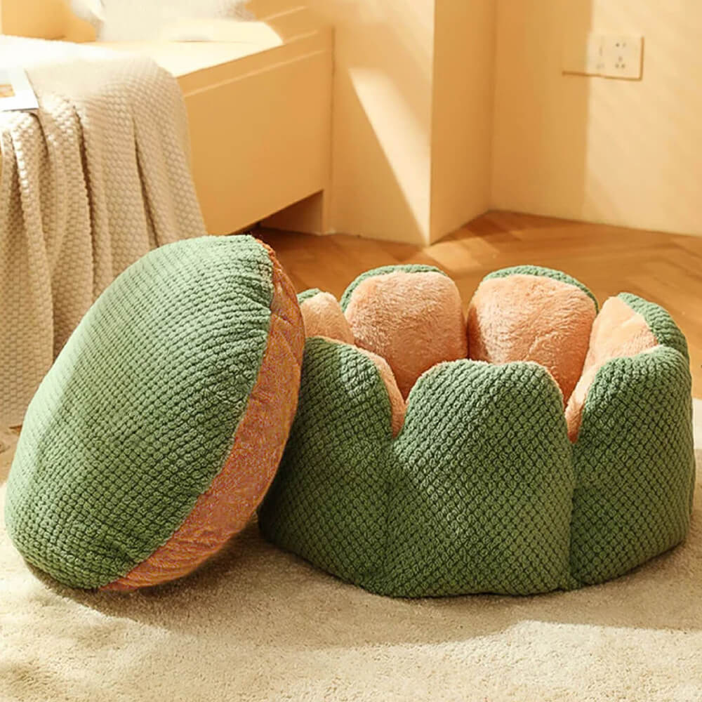 Gemütliches Kuschelbett Kaktus für Katzen, ein bequemer und stylischer Rückzugsort in Grün.