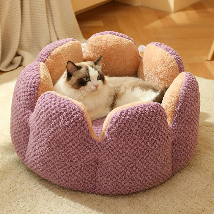 Ihre Katze entspannt im grünen Kaktus Katzenbett, ein bequemer und sicherer Schlafplatz.