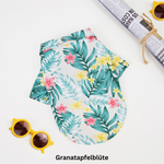 Granatapfelblüte