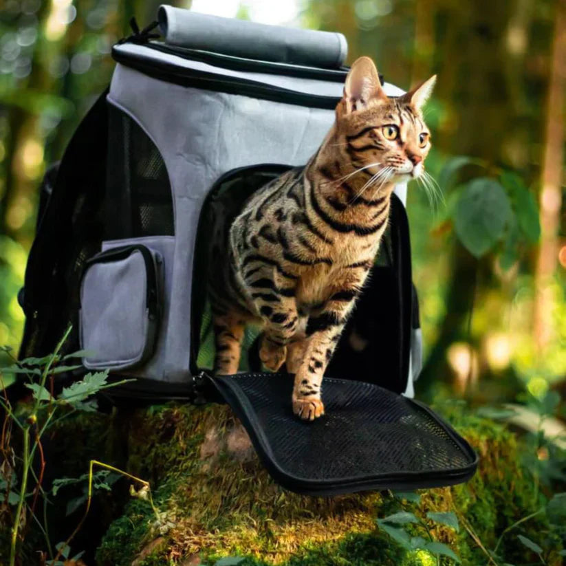 Grauer Katzenrucksack mit belüftetem Design für sicheren & bequemen Transport Ihrer Katze. Ideale Katzentrage.