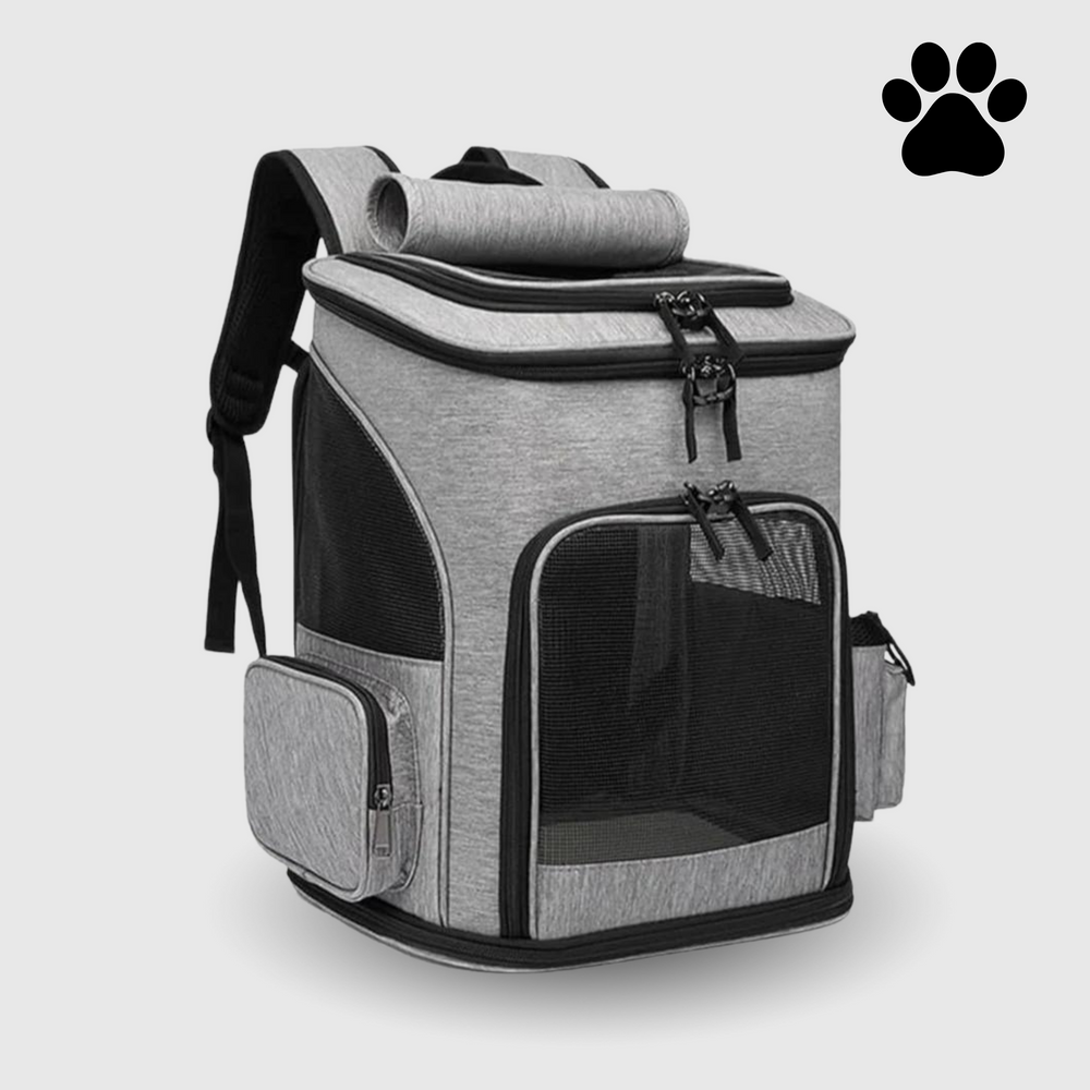 Stilvoller schwarzer Katzenrucksack, perfekt als Reisetasche oder Trage für gemütliche Spaziergänge mit Ihrem Haustier.