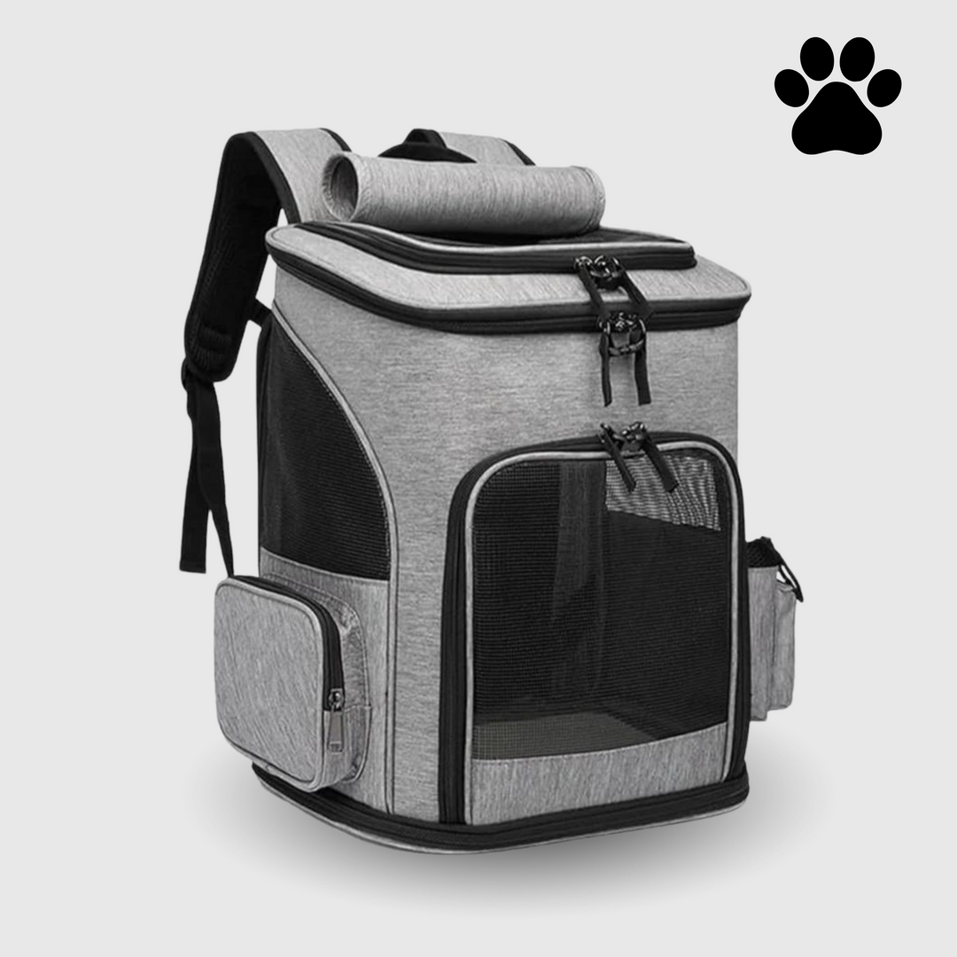 Stilvoller schwarzer Katzenrucksack, perfekt als Reisetasche oder Trage für gemütliche Spaziergänge mit Ihrem Haustier.