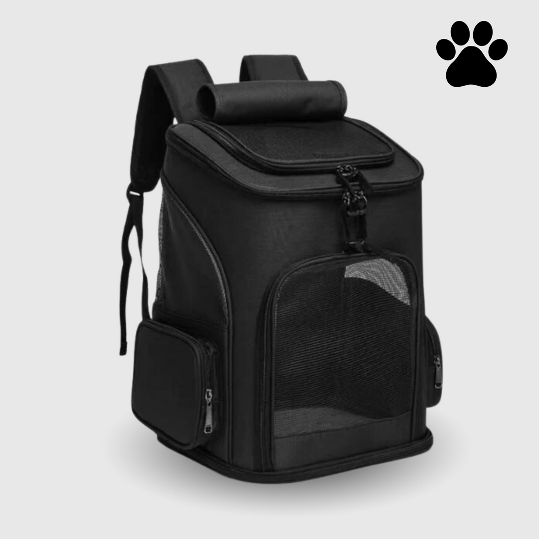 Belüfteter Katzenrucksack "Bubble" mit Panoramasicht, bietet Ihrem Tier Komfort und Sicherheit auf Reisen.