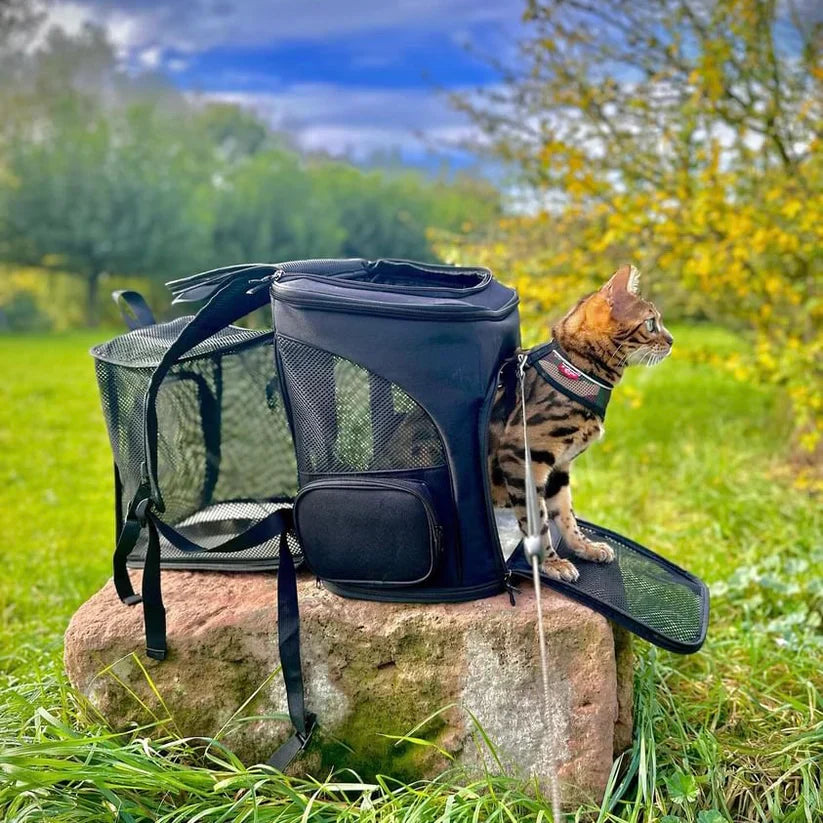Praktischer Katzenrucksack in Grau-Schwarz für sicheren Tiertransport. Bequem für Katze & Besitzer, robust.