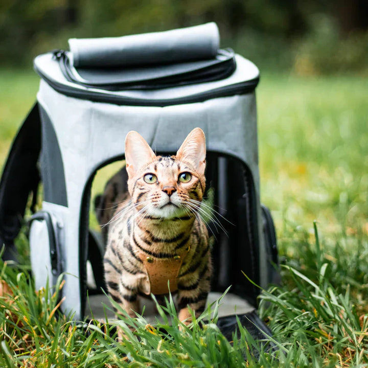 Modischer grauer Katzenrucksack, ideal als sichere Katzentrage für den täglichen Gebrauch oder lange Wanderungen.