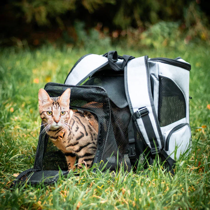 Nahaufnahme des Katzenrucksacks mit klarer Sichtkuppel, die Ihrer Katze eine spannende Aussicht bietet.