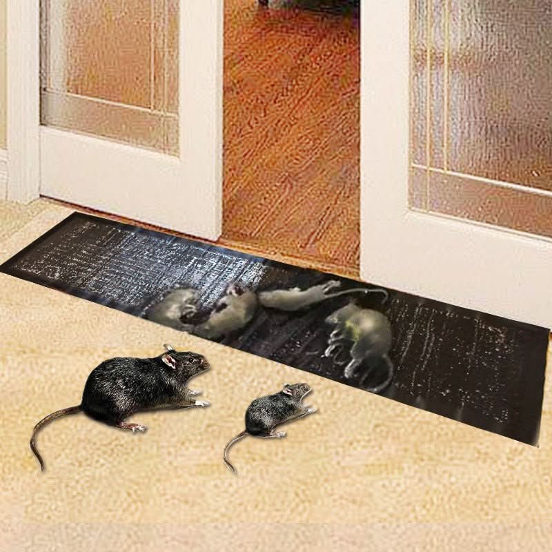 Leistungsstarke Klebefalle für Mäuse, Ratten und Insekten. Ungiftige Schädlingsbekämpfung im Haushalt und Garten.