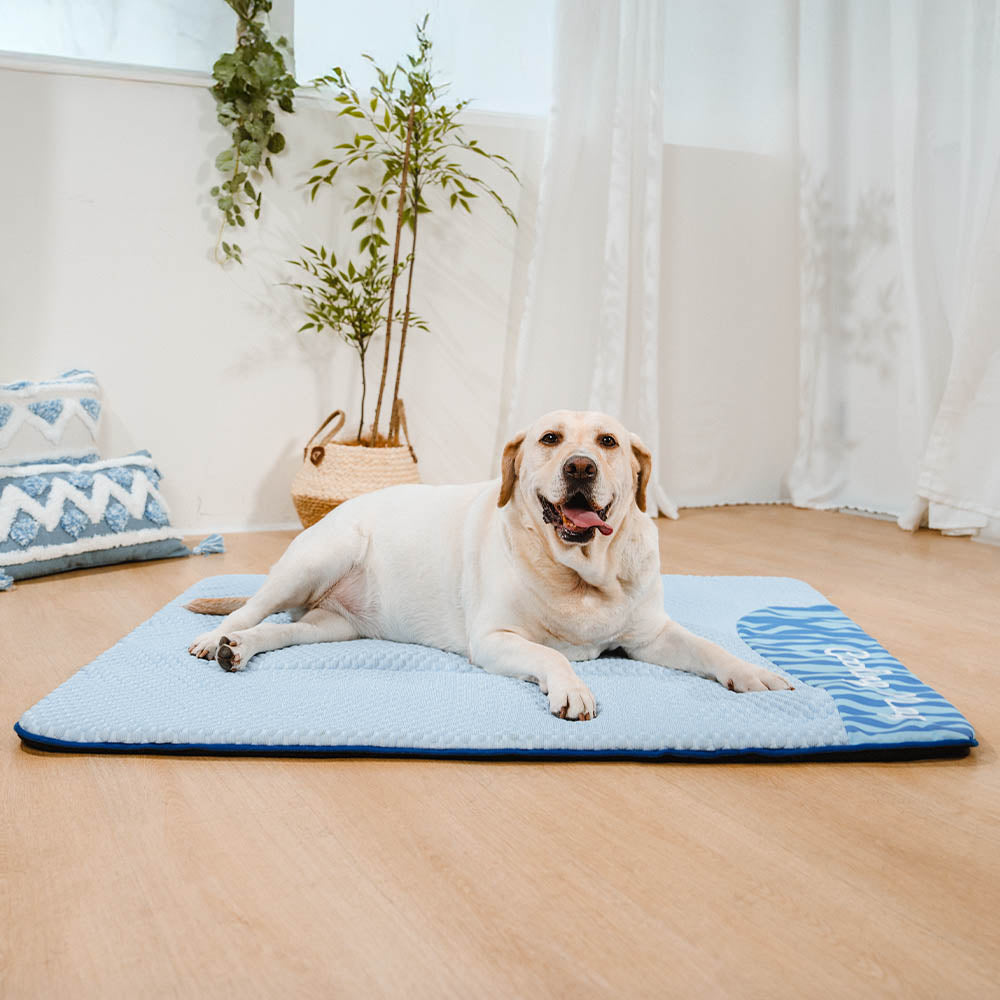 Ergonomische Hundematte, groß, kühlend, waschbar & rutschfest. Für gesunden Hundeschlaf.