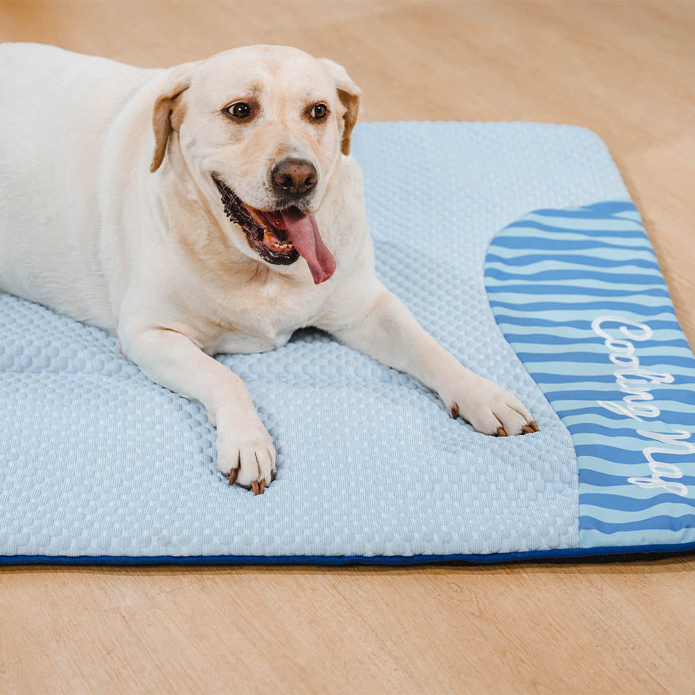 Großes, kühlendes Hundebett, waschbar & rutschfest. Idealer Sommer-Schlafplatz für Hunde.