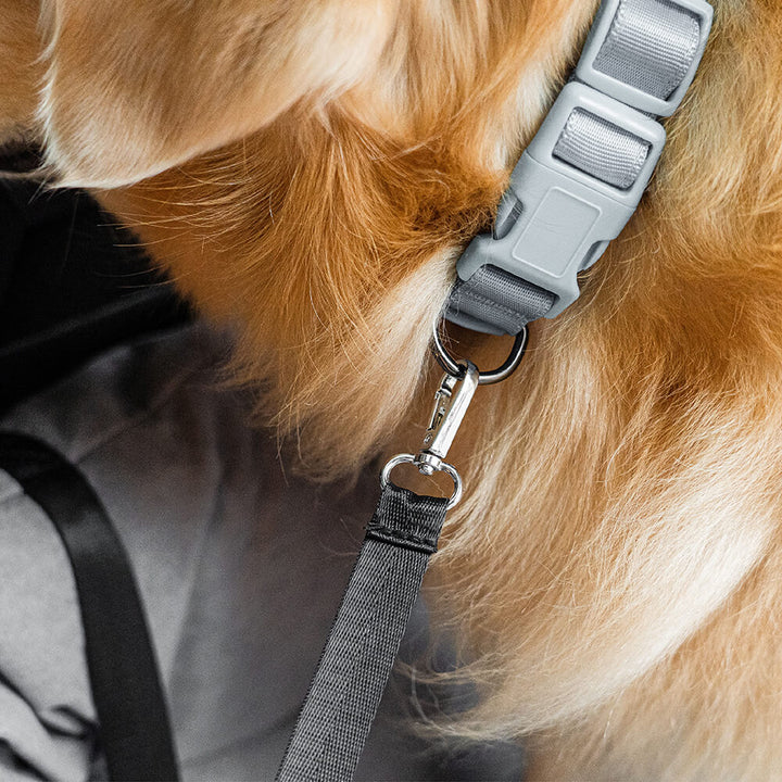 Detailaufnahme des weichen Polsters und der Sicherheitsgurte im Hundeautositz.