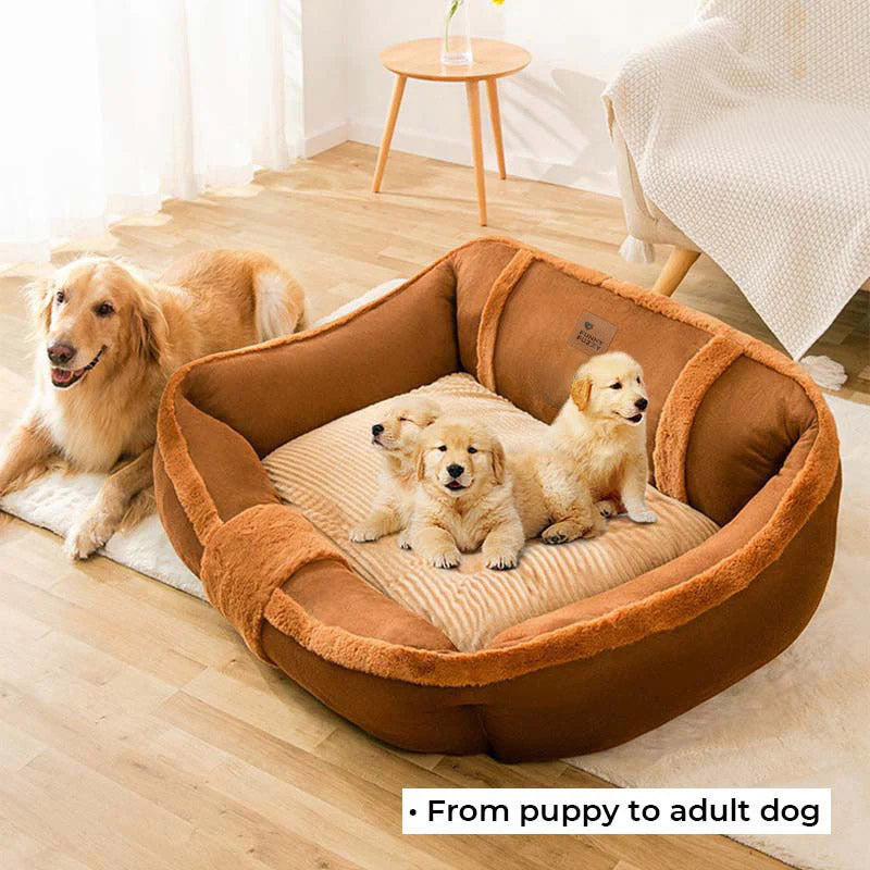 Vintage-Sofa-Hundebett, groß und gemütlich, orthopädisch und rutschfest für besten Tierkomfort.