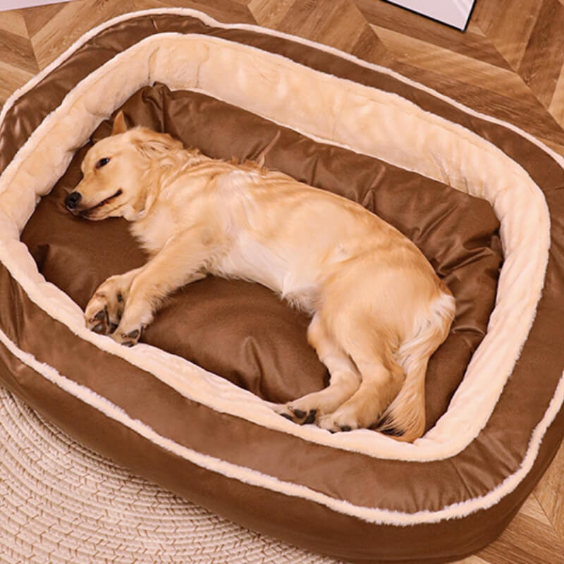 Hund entspannt sich im großen, weichen Kuschelbett; fördert Tiefschlaf & Gelenkschonung, plüschig.