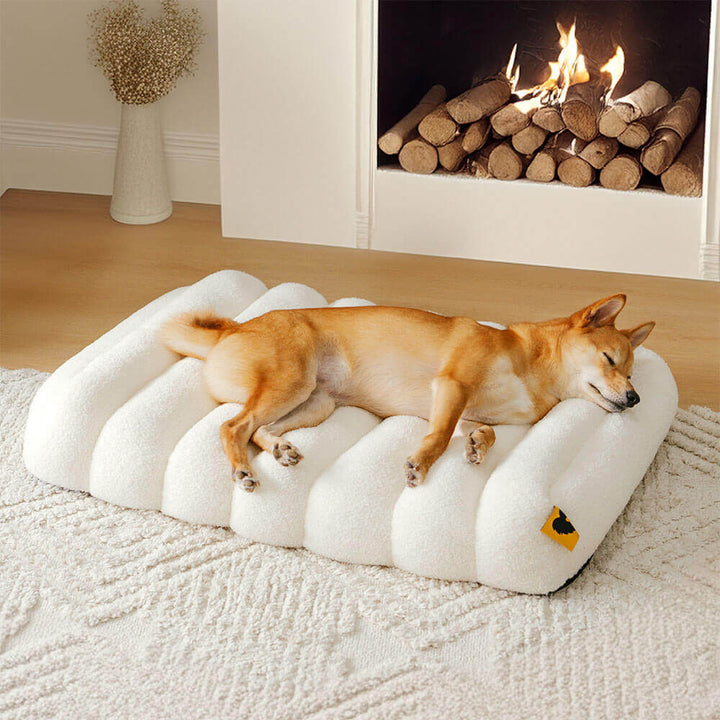 Gemütliches, flaches Hundebett mit Memory-Schaum, groß und waschbar, ideal für Haustiere.