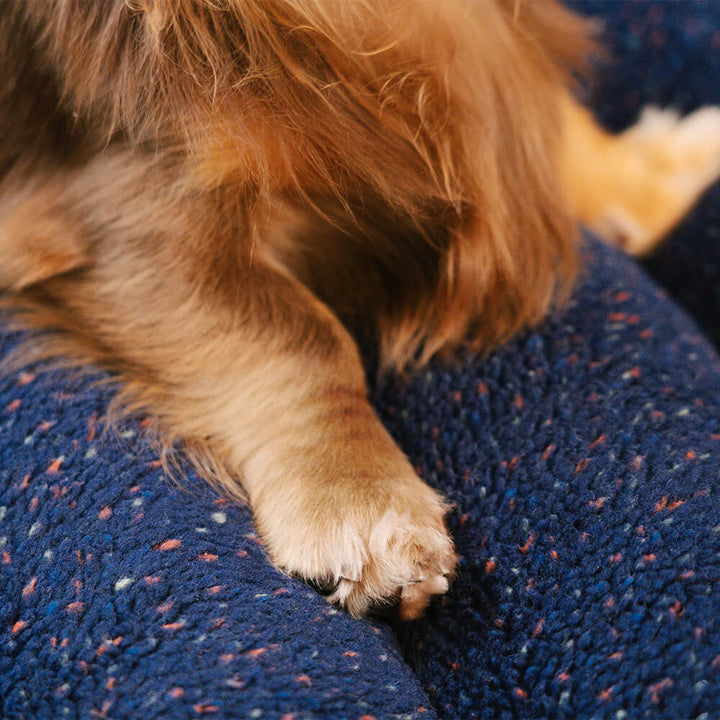 Flaches, orthopädisches Hundebett, waschbar, aus Gedächtnisschaum für besten Schlafkomfort.