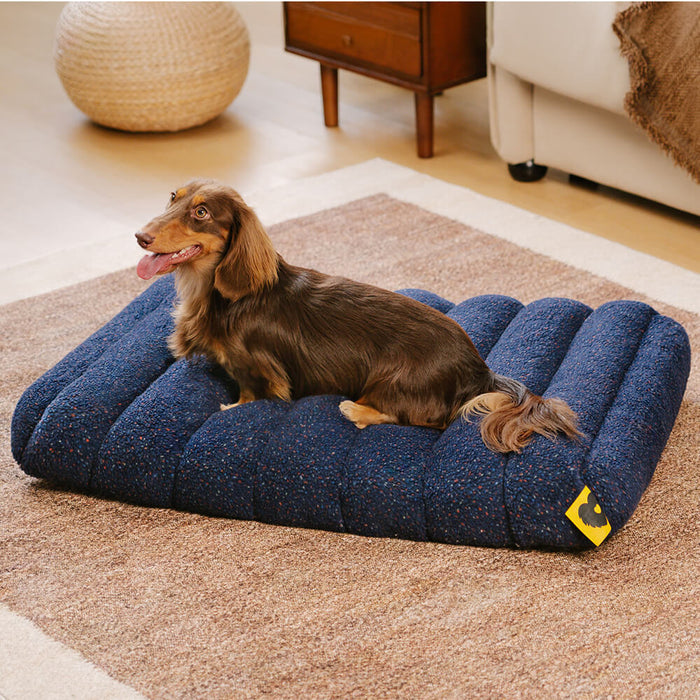 Großes, pflegeleichtes Hundebett, waschbar, mit Gedächtnisschaum, ideal für jedes Haustier.