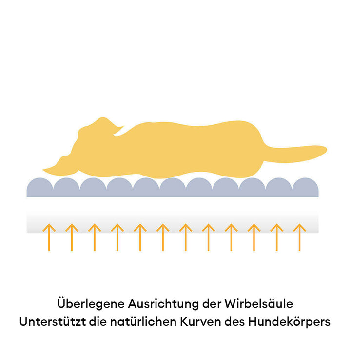 Gemütliches Haustierbett mit Memory-Schaum, waschbar und flach, bietet optimalen Halt.