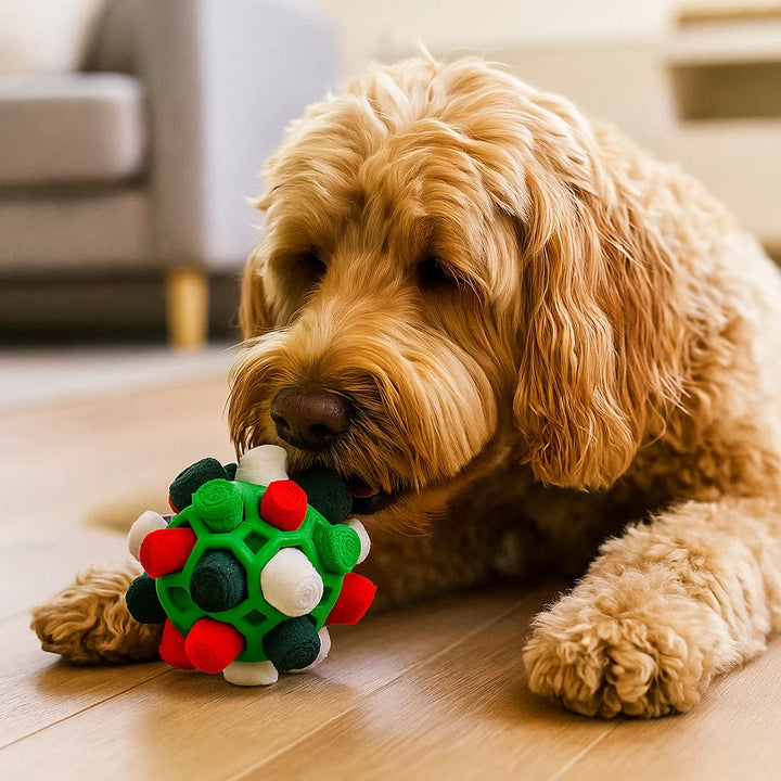 Hochwertiger Schnüffelball, fördert mentale Auslastung & Stressabbau bei Hunden. Effektives Leckerli-Spielzeug.