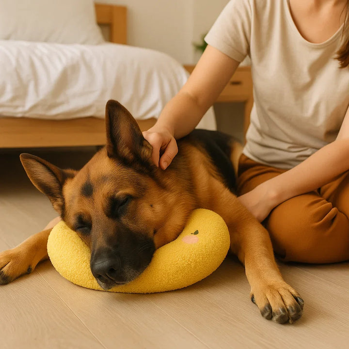 Nahaufnahme des stützenden Kissens. Dieses orthopädische Element bietet Gelenkstütze im Hundebett.