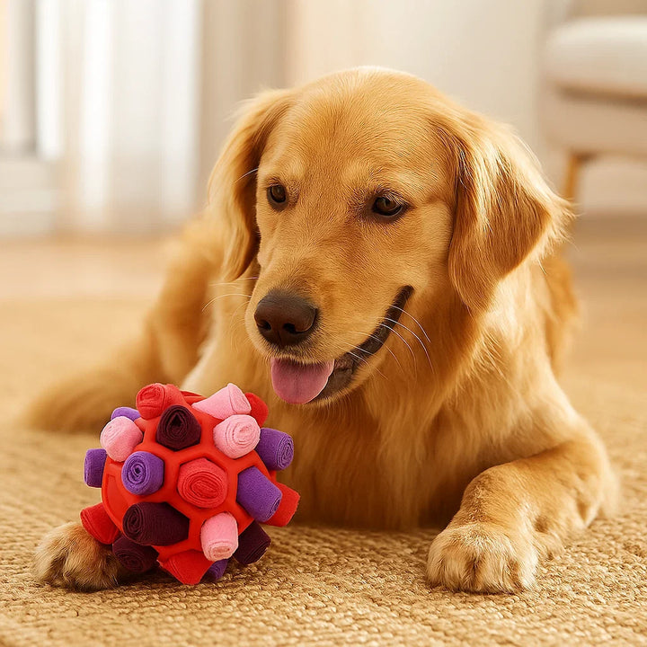 Weicher Stoff-Schnüffelball für Hunde, sicheres Leckerli-Spielzeug. Fördert natürliche Instinkte.