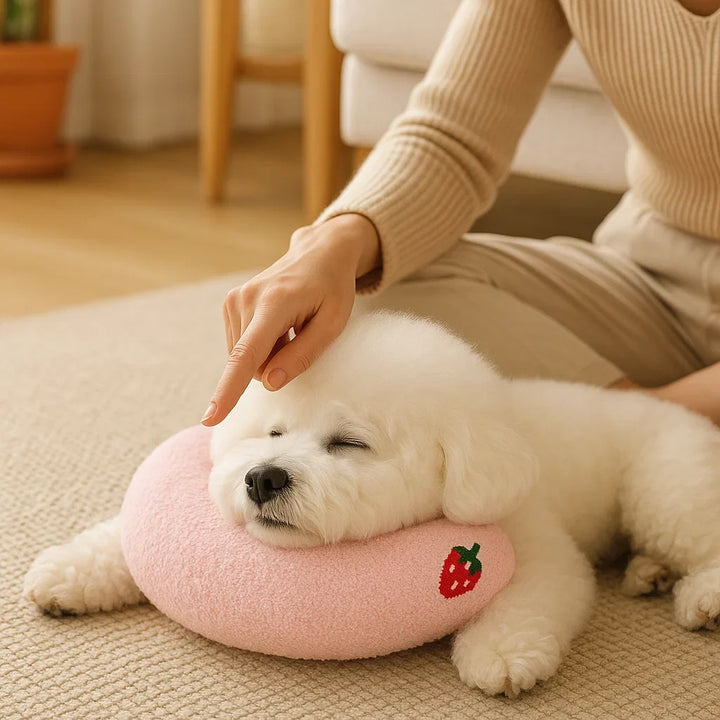 Hund liegt in gesunder Haltung auf dem Stützkissen. Ergonomisches Hundebett fördert Wohlbefinden & Entspannung.