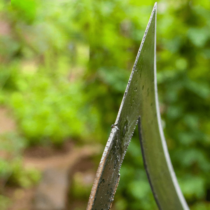 Vielseitige Manganstahl-Gartenhacke, handgeschmiedet, für präzises Unkrautjäten und gesunde Pflanzenpflege.