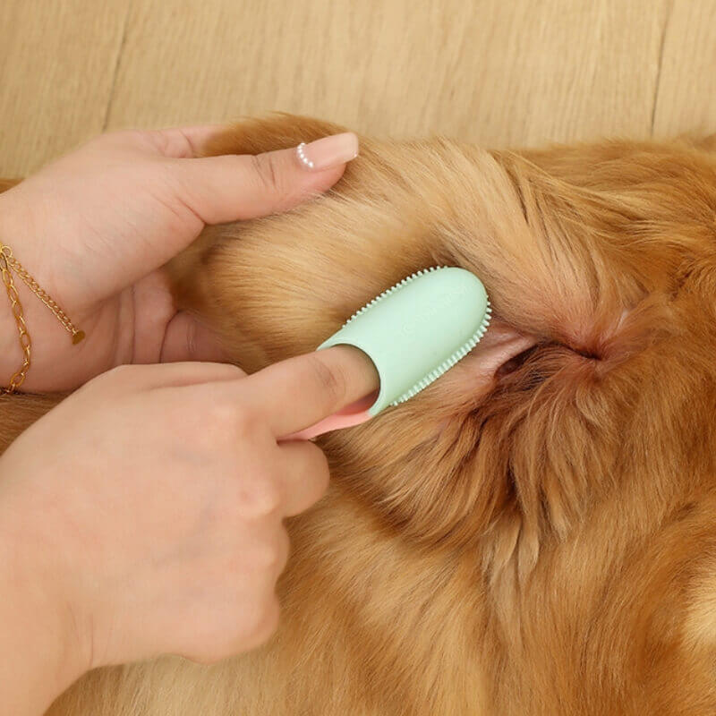 Haustier Fingerzahnbürste: Wichtig für Tiergesundheit, Zahnpflege & Plaque-Kontrolle bei Hunden & Katzen.