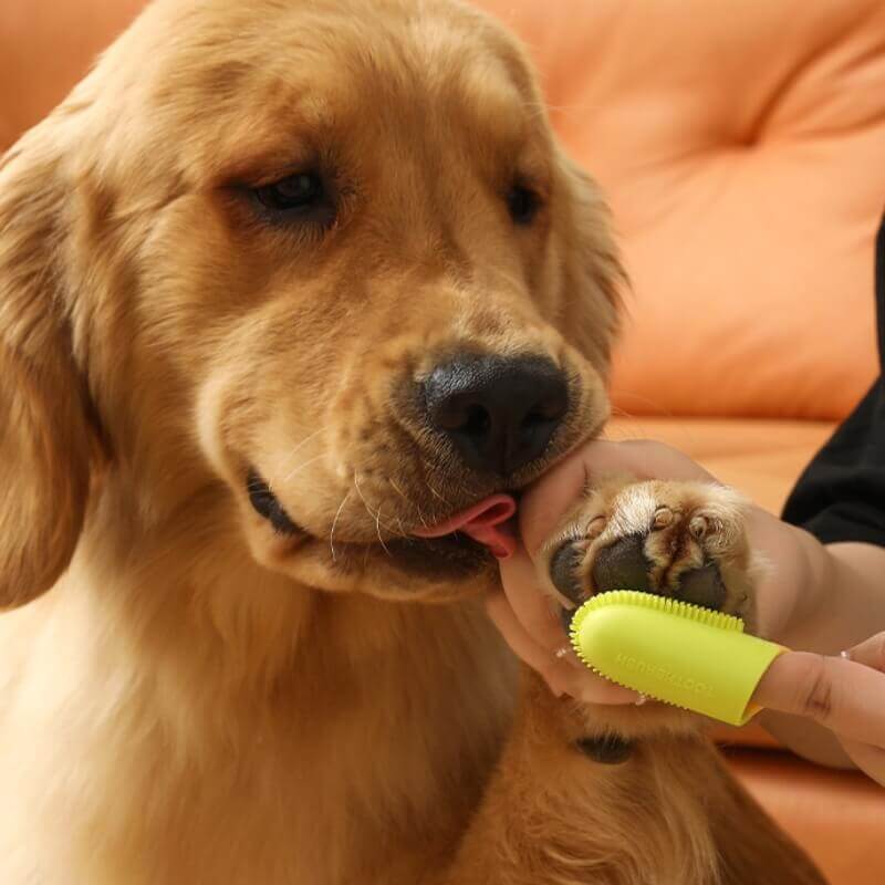 Ergonomische Fingerzahnbürste. Optimiert für sanfte & gründliche Mundhygiene bei Hunden & Katzen.