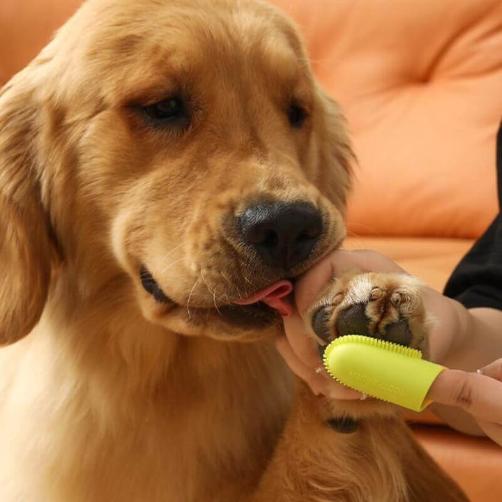 Ergonomische Fingerzahnbürste. Optimiert für sanfte & gründliche Mundhygiene bei Hunden & Katzen.