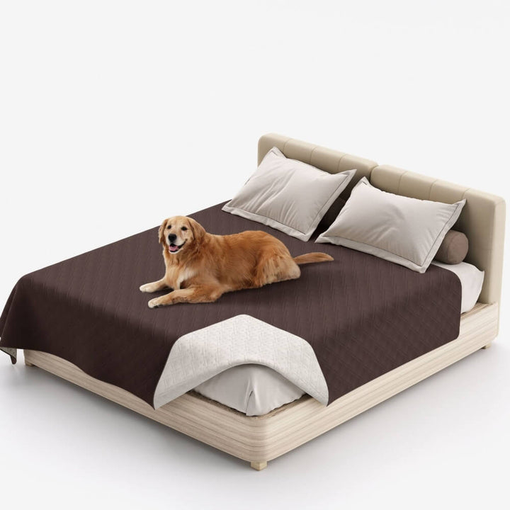 Komfortable, wasserabweisende Decke für Hunde & Katzen, schützt Möbel und bietet Gemütlichkeit.