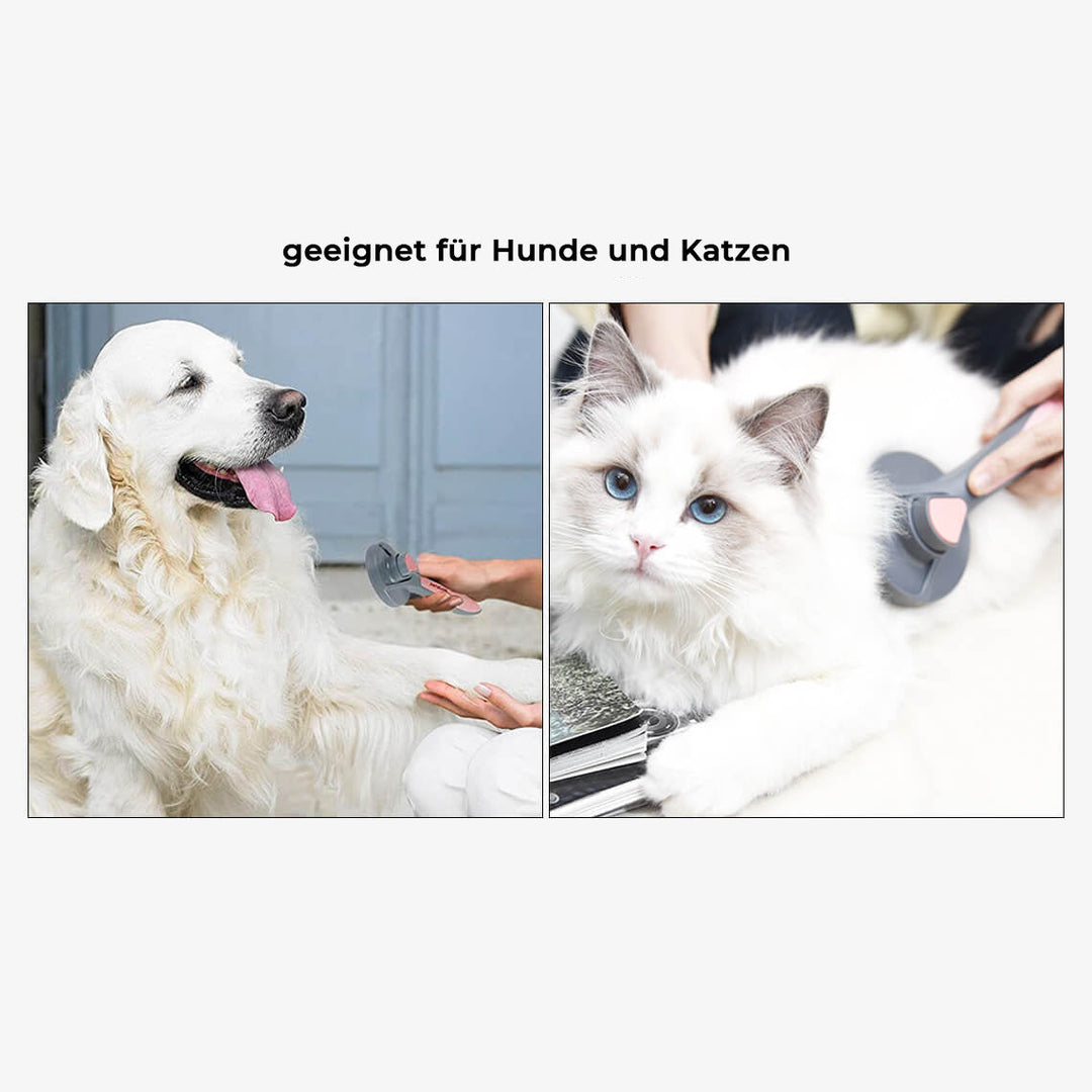 Robuster Hundekamm & Katzenbürste zur sanften Haarentfernung & umfassenden Fellpflege.