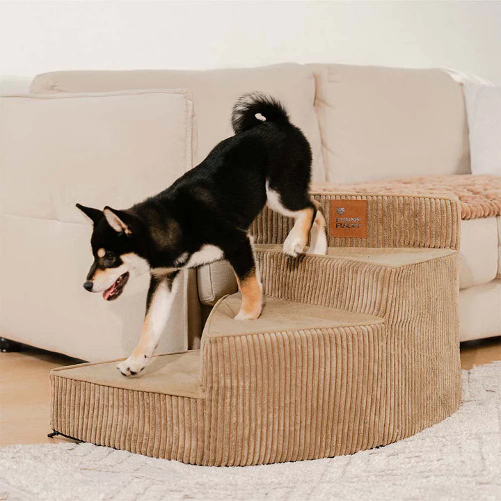Ergonomische Haustiertreppe aus Cord, für optimalen Haustierkomfort.