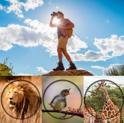 Robustes Hochleistungs-Fernglas für Outdoor, Jagd, Vogelbeobachtung. Mit klarer Nachtsicht.
