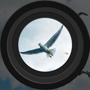 Nachtsicht-Fernglas: Ideal für Jagd und Vogelbeobachtung in der Dämmerung & Nacht. Wasserdicht.