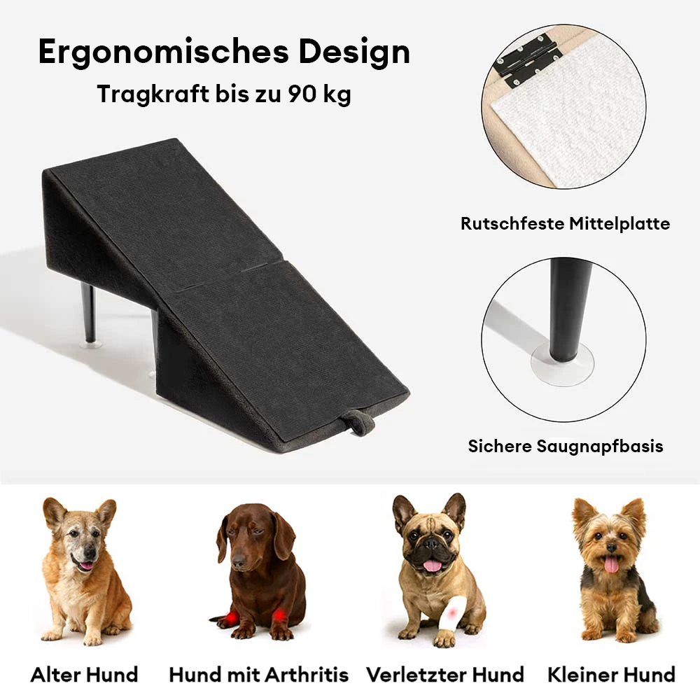 Robuste Holz Hunderampe & Treppe, 2-in-1 Design, faltbar, ideal für seniorenhilfe und Welpen.