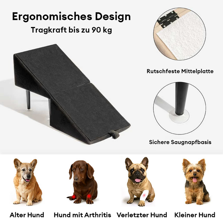 Robuste Holz Hunderampe & Treppe, 2-in-1 Design, faltbar, ideal für seniorenhilfe und Welpen.