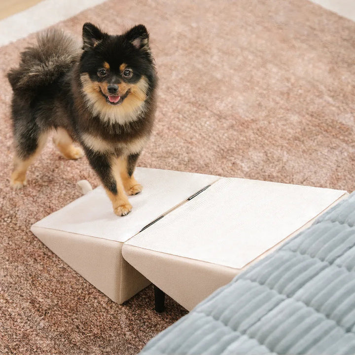 Tierleiter aus Holz, 2-in-1 Design als Rampe oder Treppe, faltbar, Haustierzubehör für Hunde.
