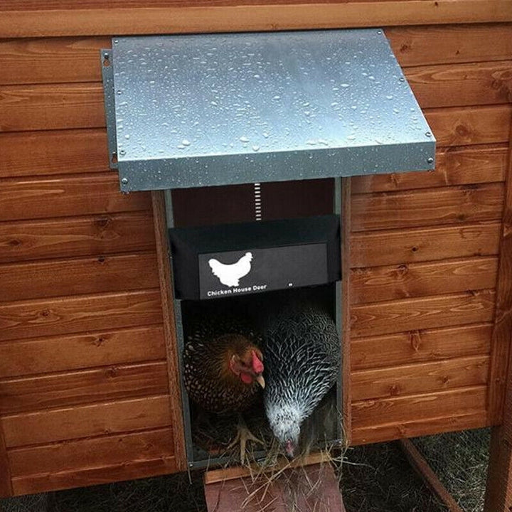 Wetterfeste, automatische Hühnerstalltür schützt Hühner nachts sicher. Idealer Tierschutz für Ihr Geflügel.