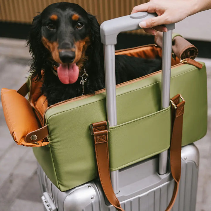 Tragbarer Hunde-Autositz, der auch als Transporttasche dient; ideal für kurze & lange Autofahrten.