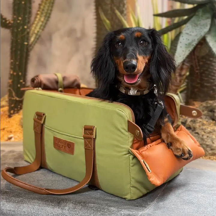 Perfekter Hunde-Autositz für Dackel & kleine Hunde, sicher auf der Mittelkonsole platziert.