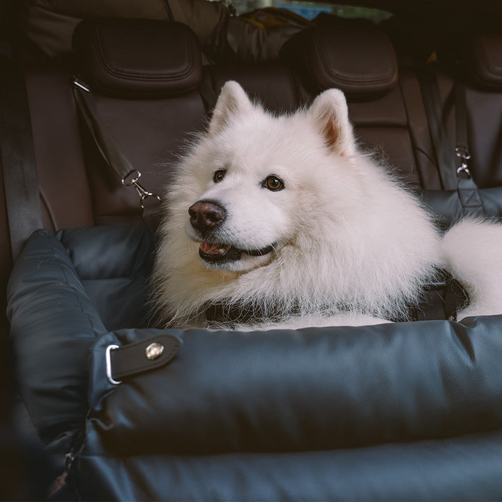 Robustes Kunstleder Hundeautositzbett, speziell für den sicheren Transport großer Hunderassen.