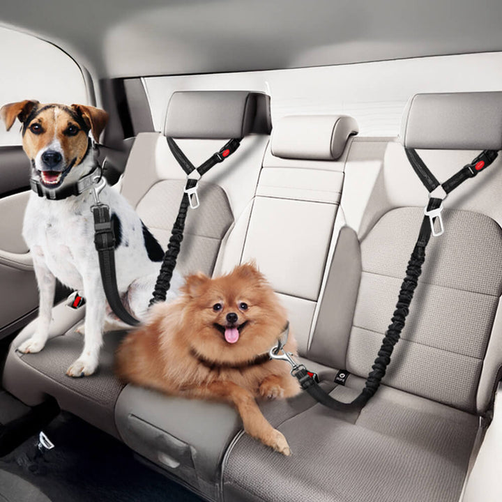 Hunde-Autositzgurt für sichere Fahrten, verstellbar, zur Kopfstützenbefestigung. Wichtiges Haustier-Autozubehör.