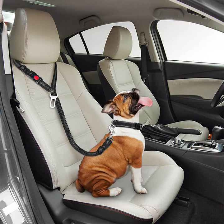 Robuster Hunde-Sicherheitsgurt aus Nylon, schützt Haustiere im Auto bei jeder Reise. Erhöht die Autosicherheit.