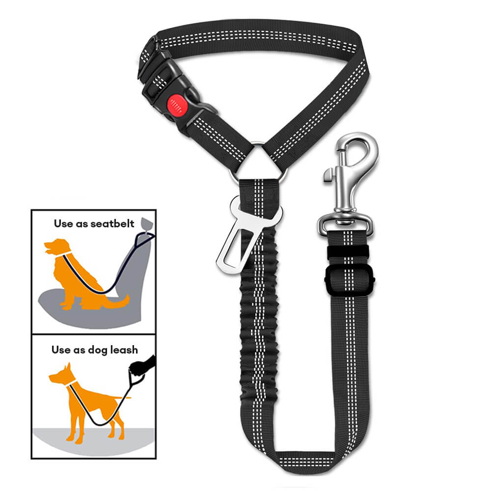 Hochwertiger Nylon-Hundeautositzgurt für maximale Autosicherheit. Strapazierfähig, langlebiges Autozubehör.