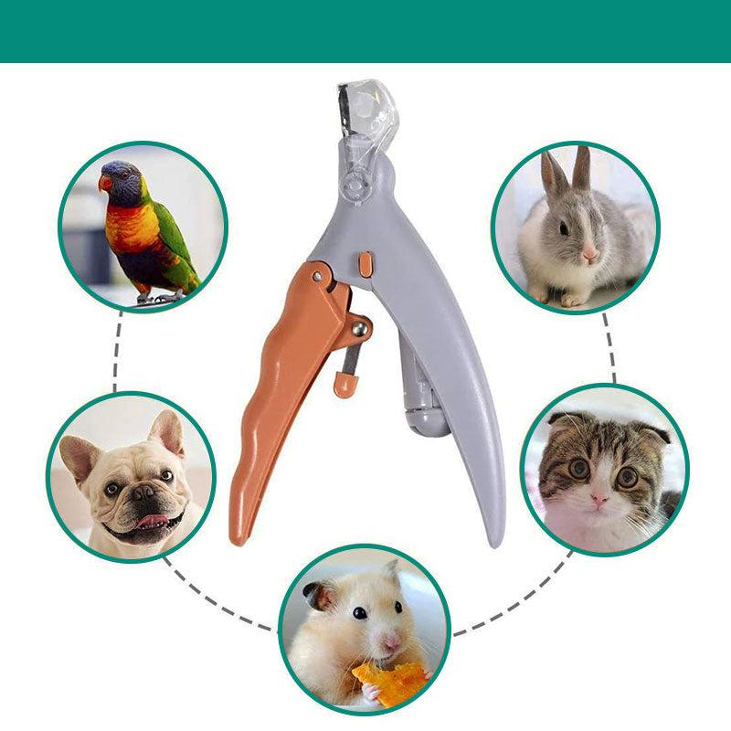 Verpackung des Hunde-Nagelknipsers mit Sicherheitssensor; Premium-Hundezubehör für stressfreie Haustierpflege.