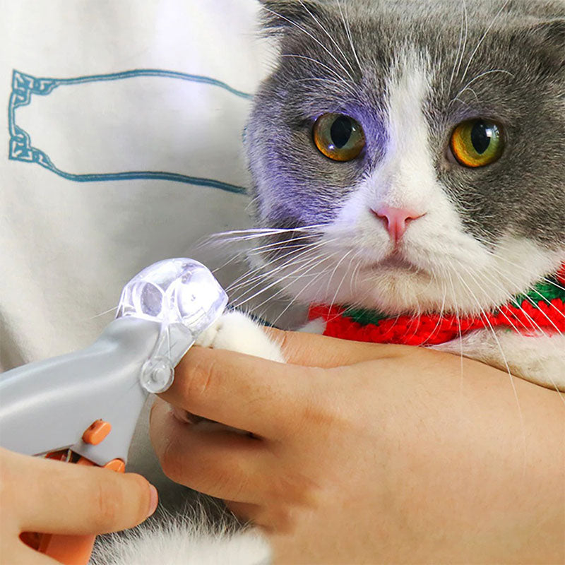 Ergonomischer Hunde-Nagelknipser mit LED & Sicherheitssensor für präzise Hundekrallenpflege. Haustierpflege.