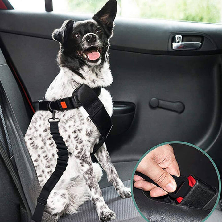 Haustier-Sicherheitsgurt auf einem Autositz, bereit für eine sichere Autofahrt mit Ihrem Hund.