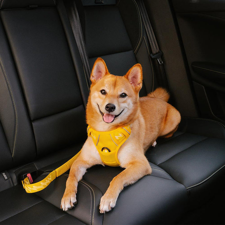 Detailansicht des robusten Sicherheitsgurtes für Hunde im Auto, ideal für Haustier-Autozubehör.